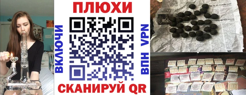 хочу наркоту  Беломорск  ГАШИШ индика сатива 