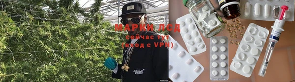 apvp Белокуриха