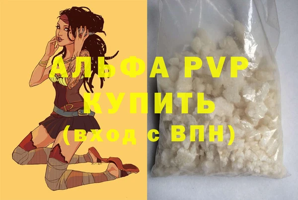 apvp Белокуриха
