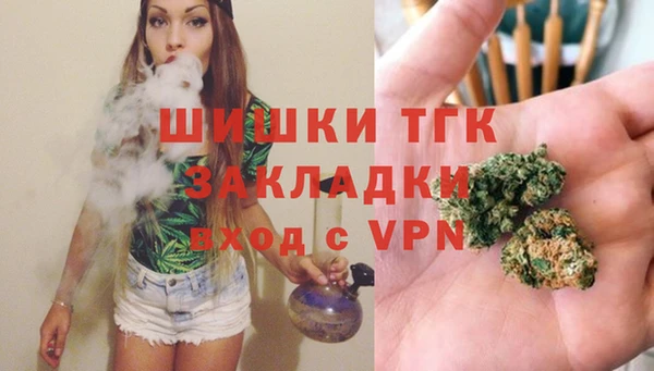 apvp Белокуриха